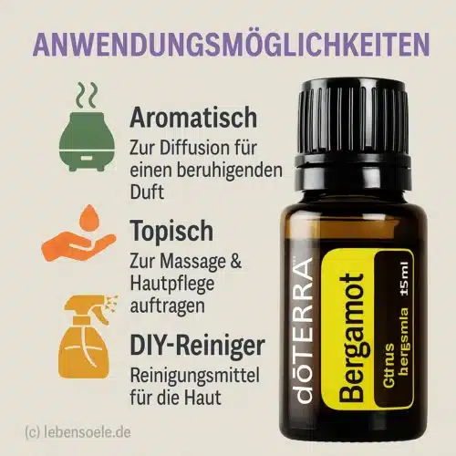 Bergamotă - Citrus bergamia - Bergamot - imagine 2