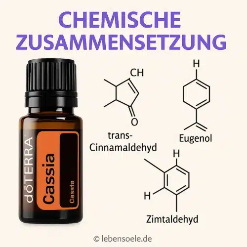 Cassia - Cinnamomum cassia - Cassia - imagine 3