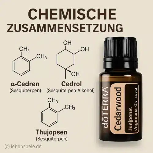 Cedru - Juniperus virginiana - Cedarwood - imagine 3