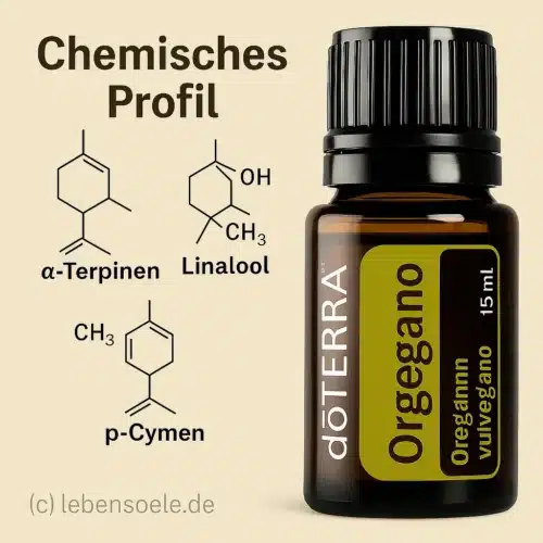 Oregano - Origanum vulgare - imagine 2