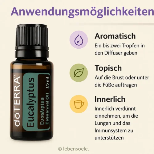 Eucalipt - Eucalyptus radiata - Eucalyptus - imagine 2