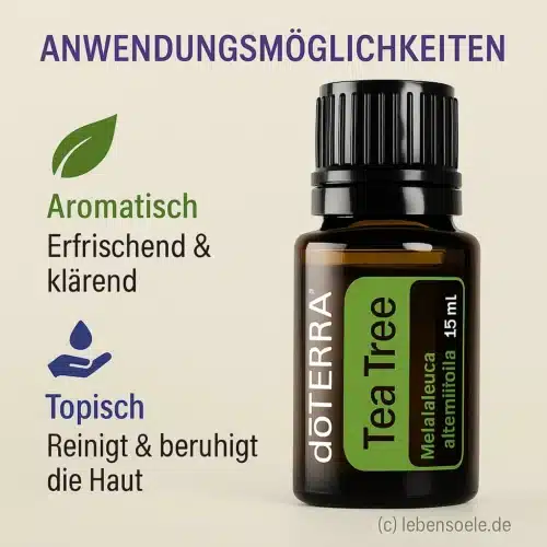 Melaleuca - Arbore de Ceai - Tea Tree - imagine 4