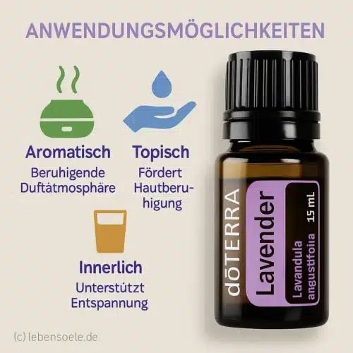 Levănţică - Lavandula angustifolia - Lavender - imagine 2