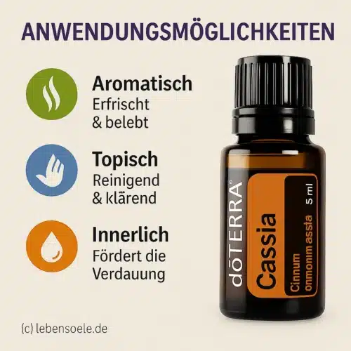Cassia - Cinnamomum cassia - Cassia - imagine 2