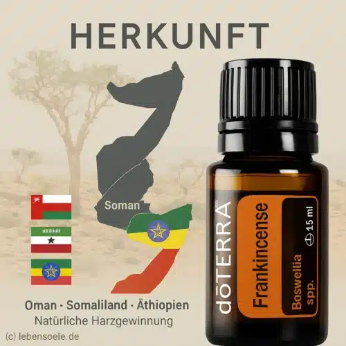 Tămâie - Boswellia frereana - Frankincense - imagine 3