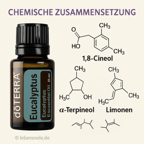 Eucalipt - Eucalyptus radiata - Eucalyptus - imagine 3