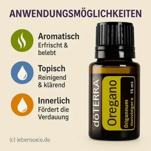 Oregano - Origanum vulgare - imagine 3