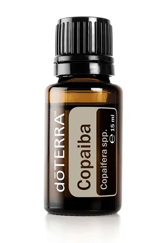 Kopaiva – Copaiba Copaifera spp.