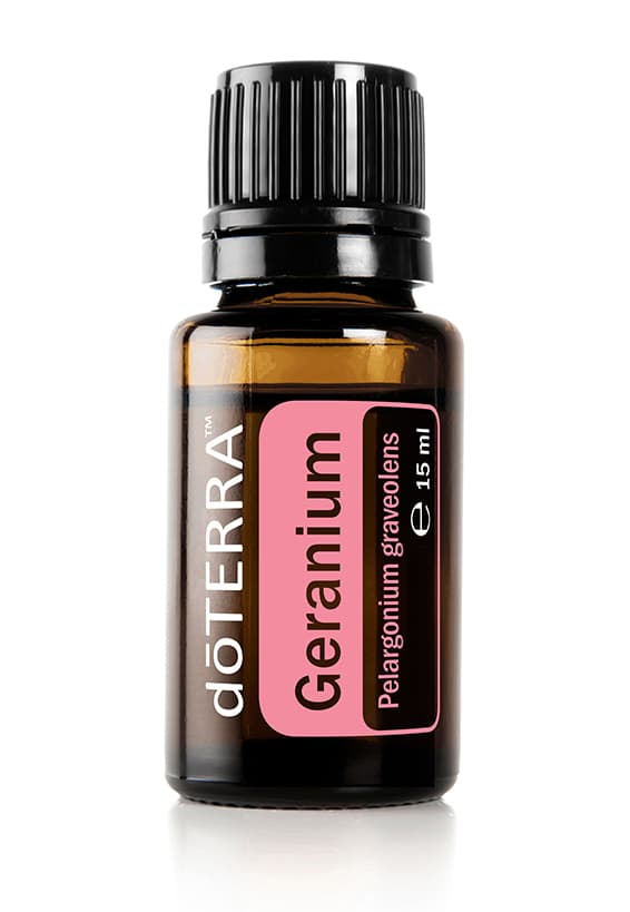 Geranium – Pelargonium graveolens – Mușcată