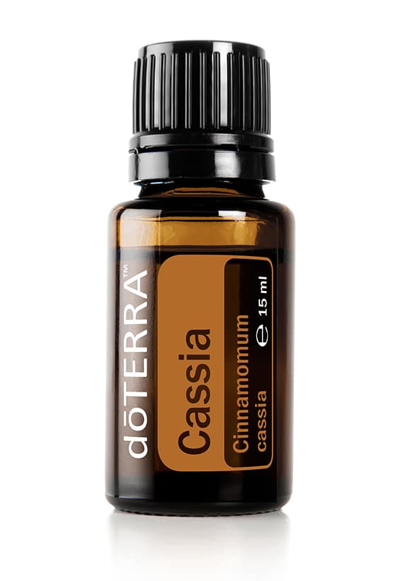 Cassia – Cinnamomum cassia – Cassia