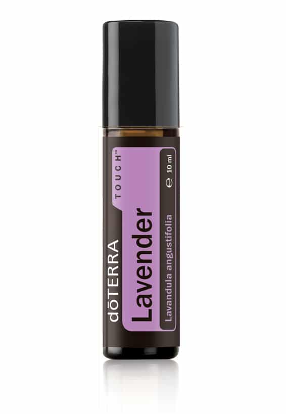 Lavender Touch® – Lavandula angustifolia – Lavandă