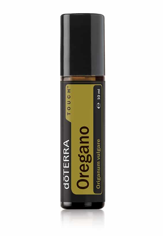 Oregano Touch® – Origanum vulgare