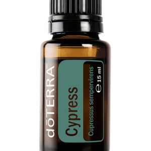 Chiparos – Cupressus sempervirens – Cypress