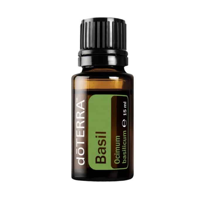 Busuioc – Ocimum basilicum – Basil