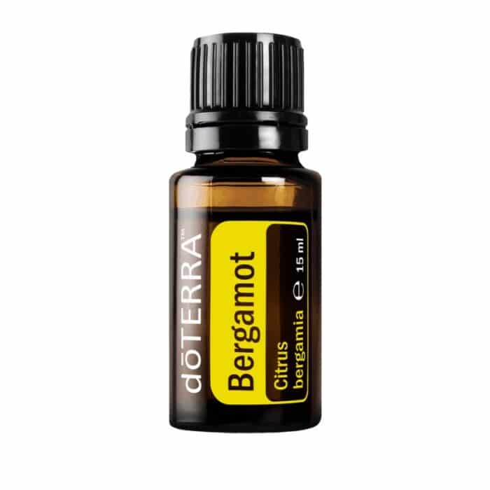 Bergamotă – Citrus bergamia – Bergamot