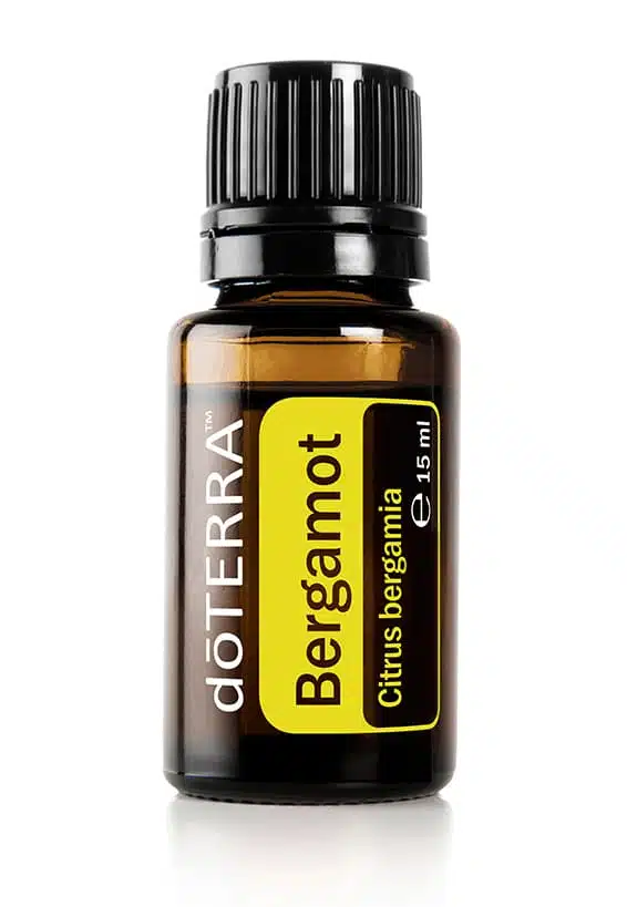 Bergamotă – Citrus bergamia – Bergamot