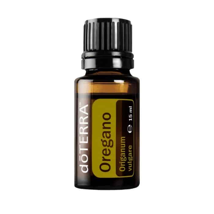 Oregano – Origanum vulgare