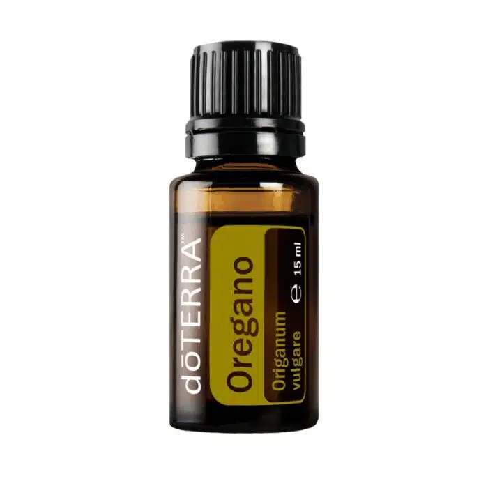Oregano – Origanum vulgare