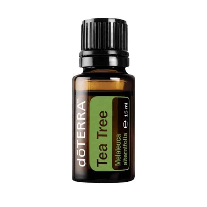 Melaleuca – Arbore de Ceai – Tea Tree