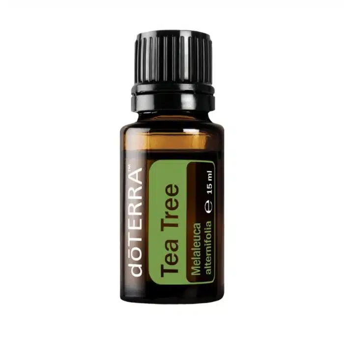 Melaleuca – Arbore de Ceai – Tea Tree