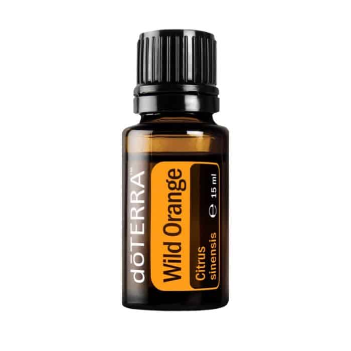Portocală sălbatică – Citrus sinensis – Wild Orange