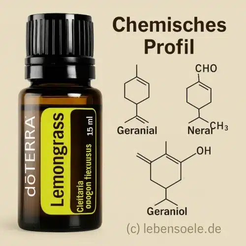 Lămâiţă - Cymbopogon flexuosus - Lemongrass - imagine 3