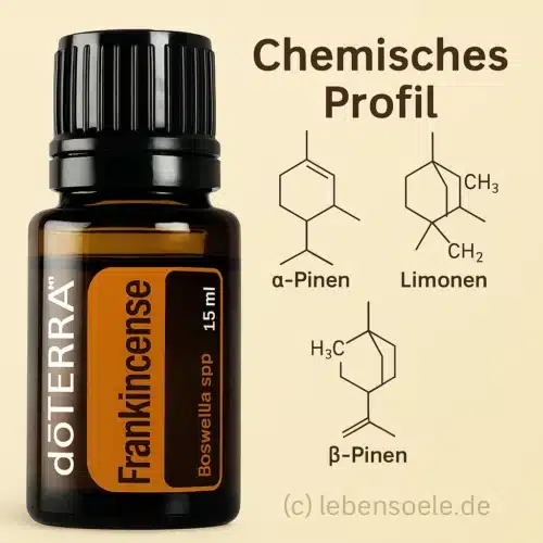 Tămâie - Boswellia frereana - Frankincense - imagine 5