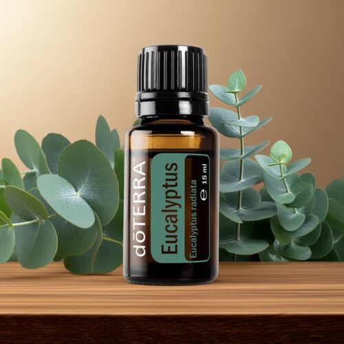 Eucalipt - Eucalyptus radiata - Eucalyptus - imagine 5