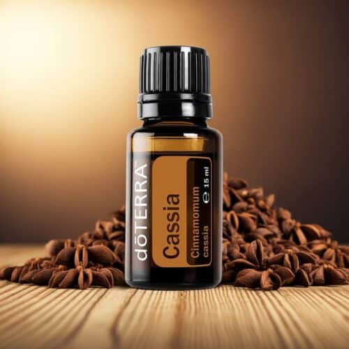 Cassia - Cinnamomum cassia - Cassia - imagine 5