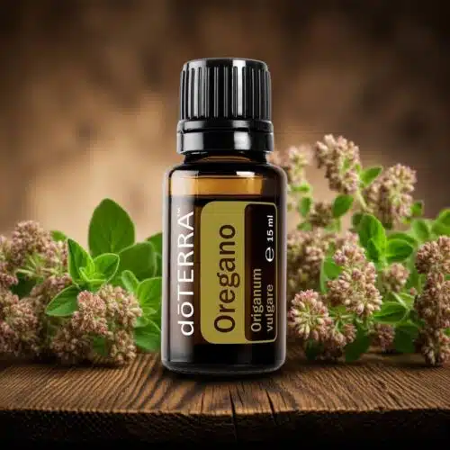 Oregano - Origanum vulgare - imagine 5