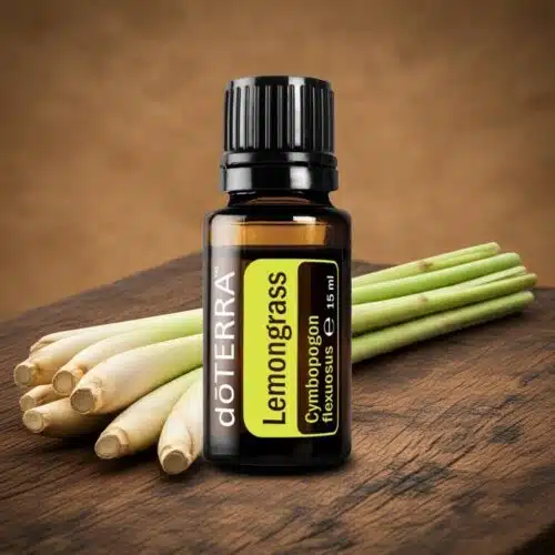 Lămâiţă - Cymbopogon flexuosus - Lemongrass - imagine 5