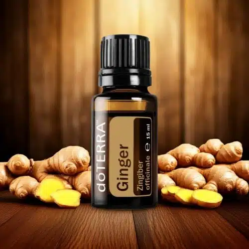 Ghimbir - Zingiber officinale - Ginger - imagine 5