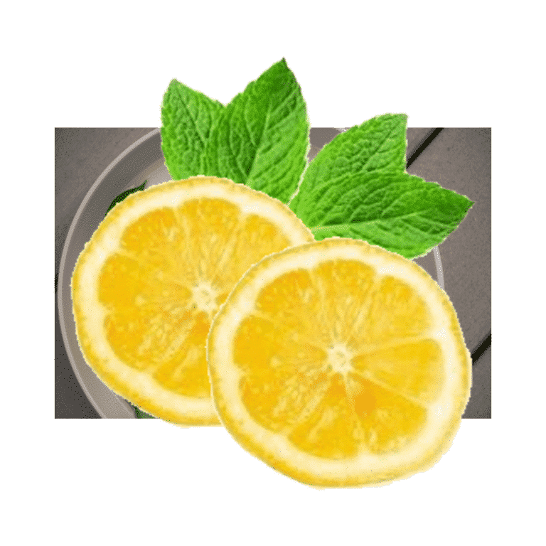 Lămâie – Citron limon – Lămâie