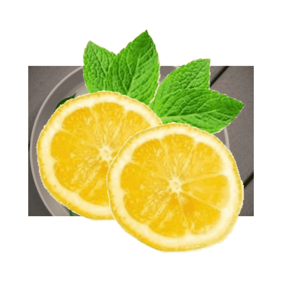 Lămâie – Citron limon – Lămâie