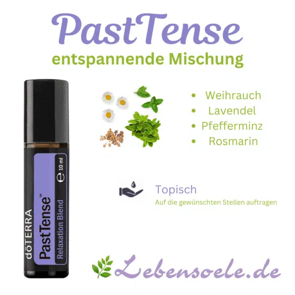 pasttense anwendung