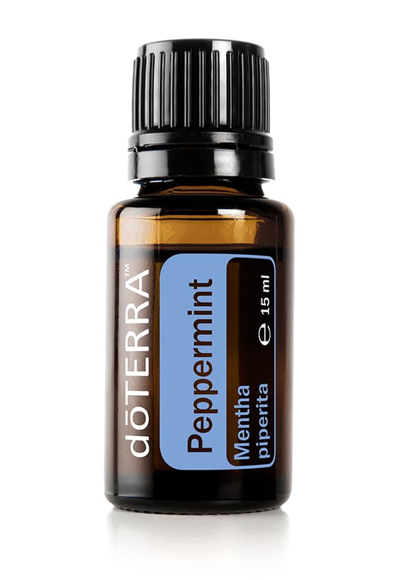 Peppermint – Mentă – Mentha piperita