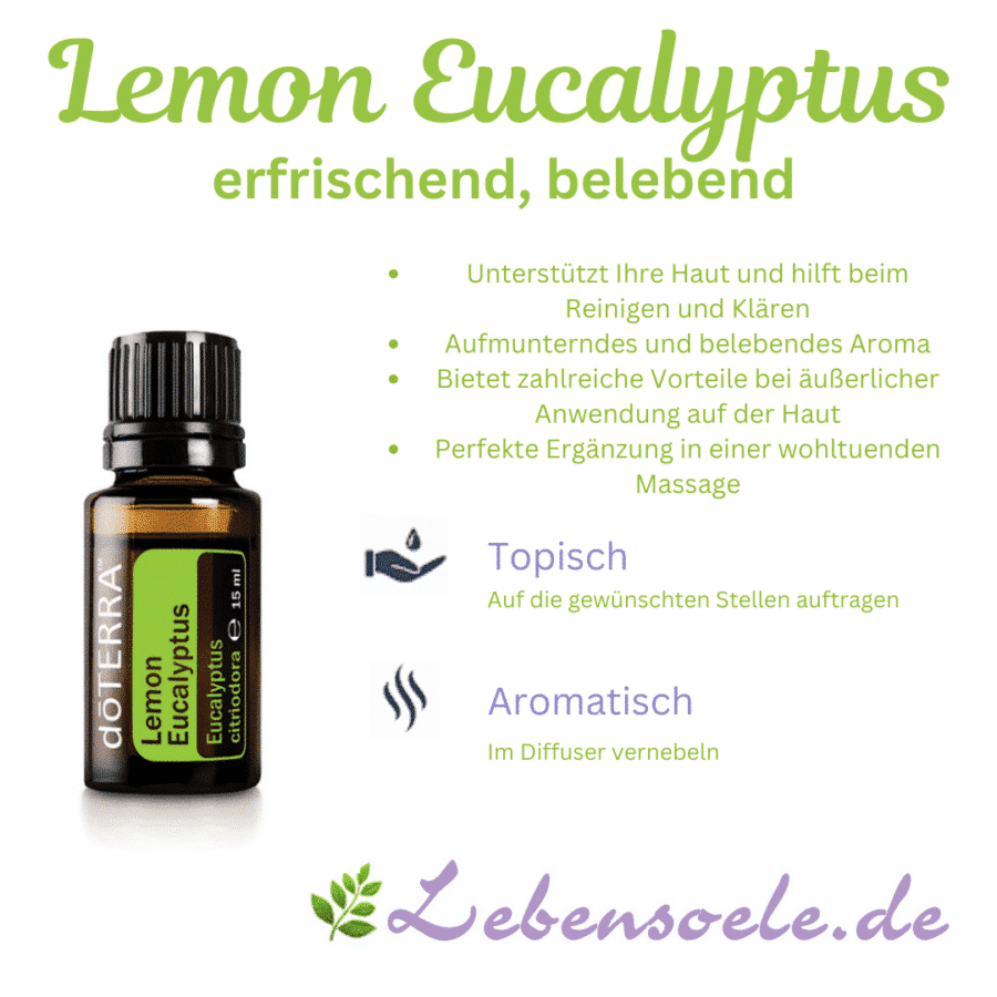 Lemon Eucalyptus – Eucalipt cu lămâie