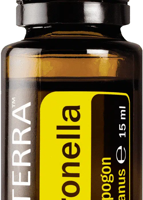 Citronella – Citronella